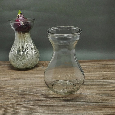 风信子花瓶，水培植物专用玻璃瓶
